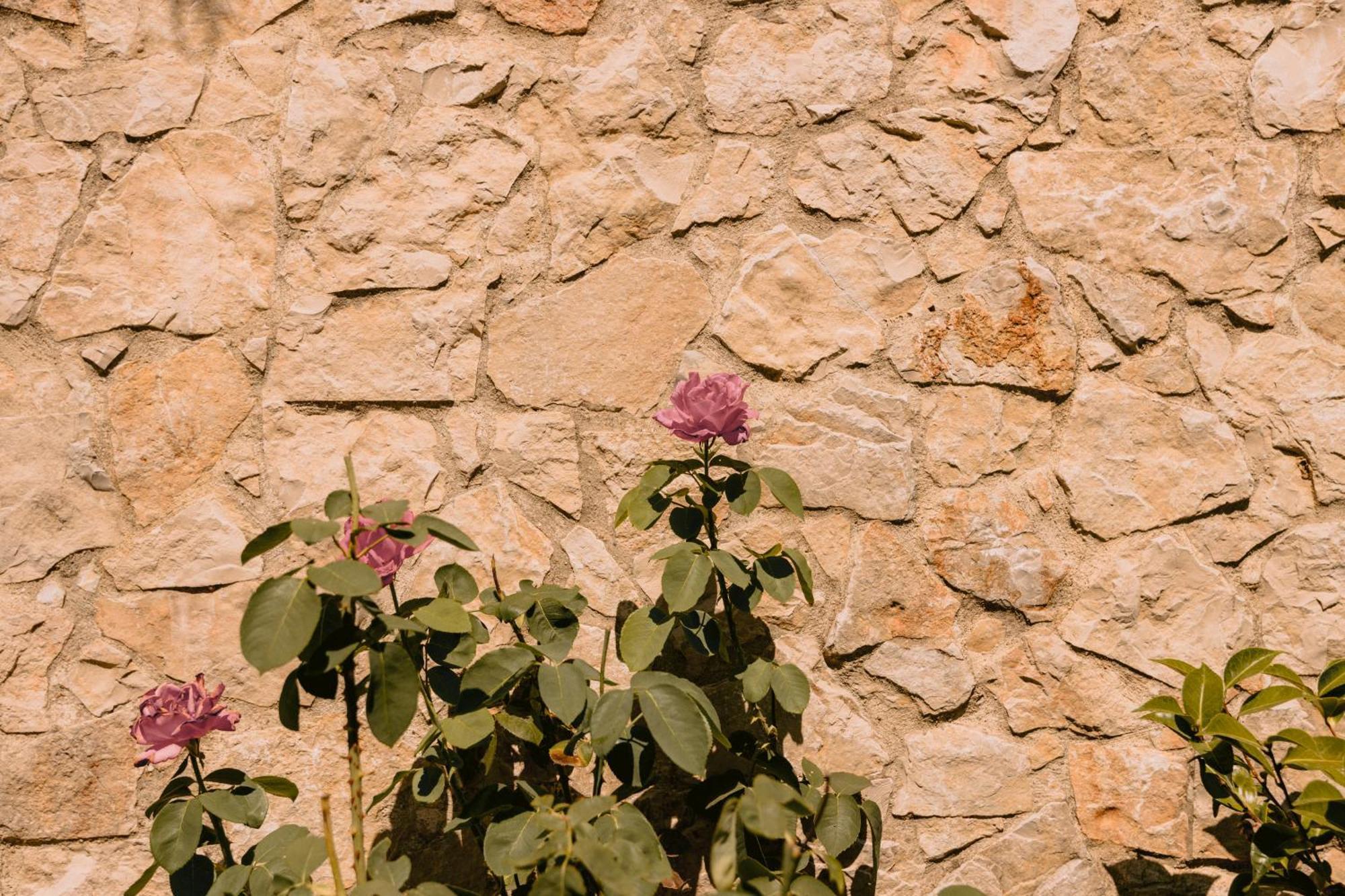 Matagosinha Vilas Da Matagosa מראה חיצוני תמונה